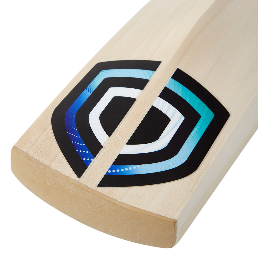 DP Vector LE Cricket Bat