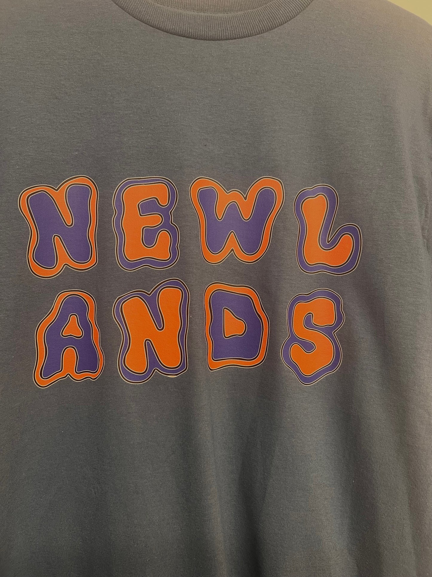 NS short sleeve everyday tee (blue)