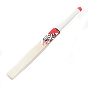 R66T Academy Technique Bat