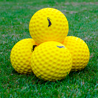 R66T Academy Ball Feeder Balls