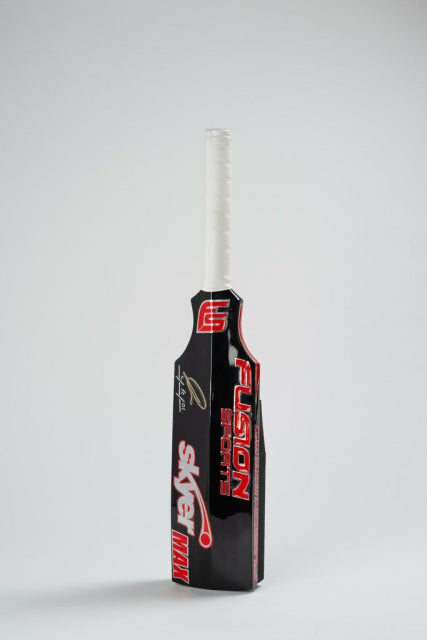 Fusion Skyer Training Bat