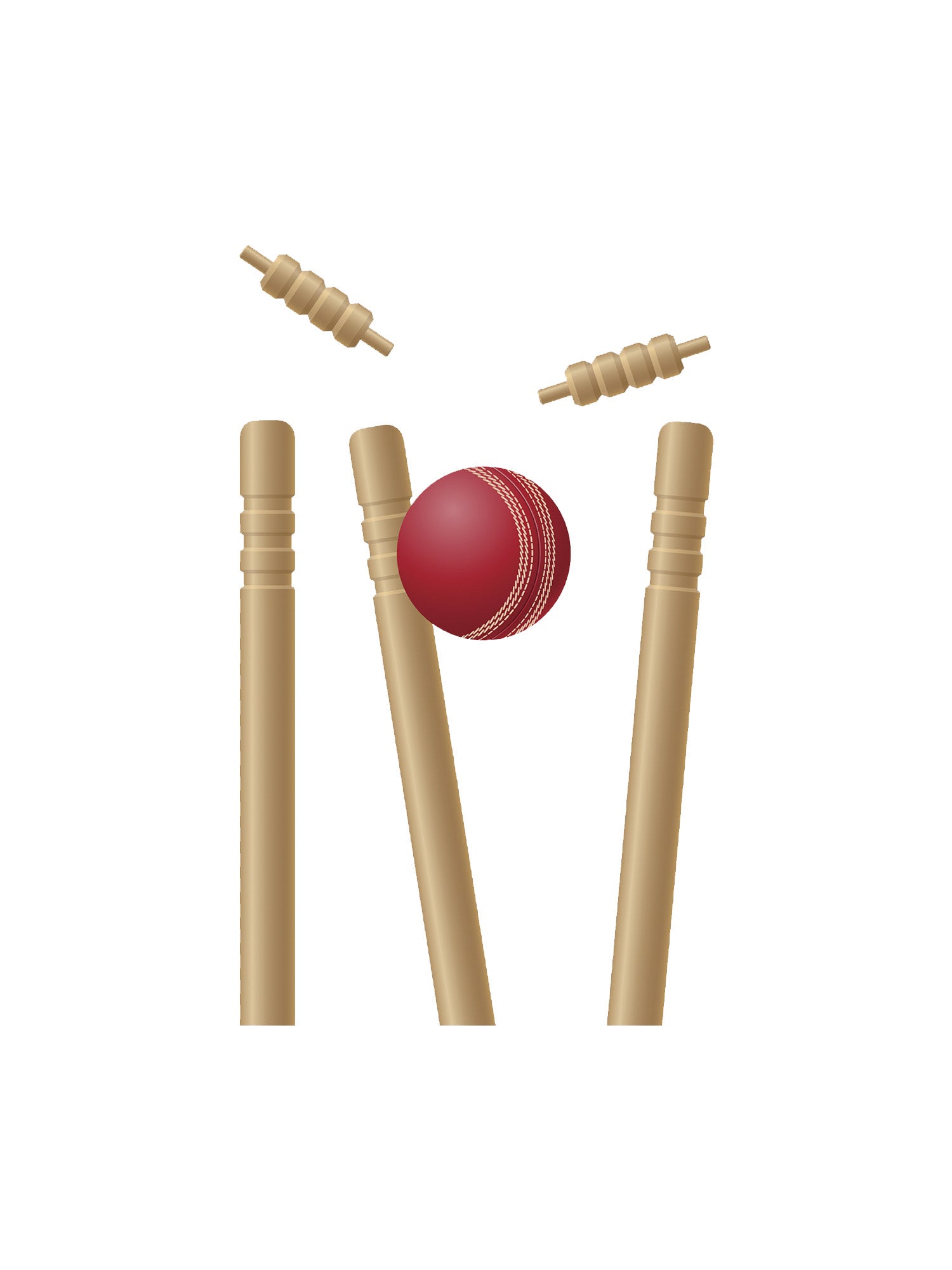 Cricket Equipment at Newlands Sports