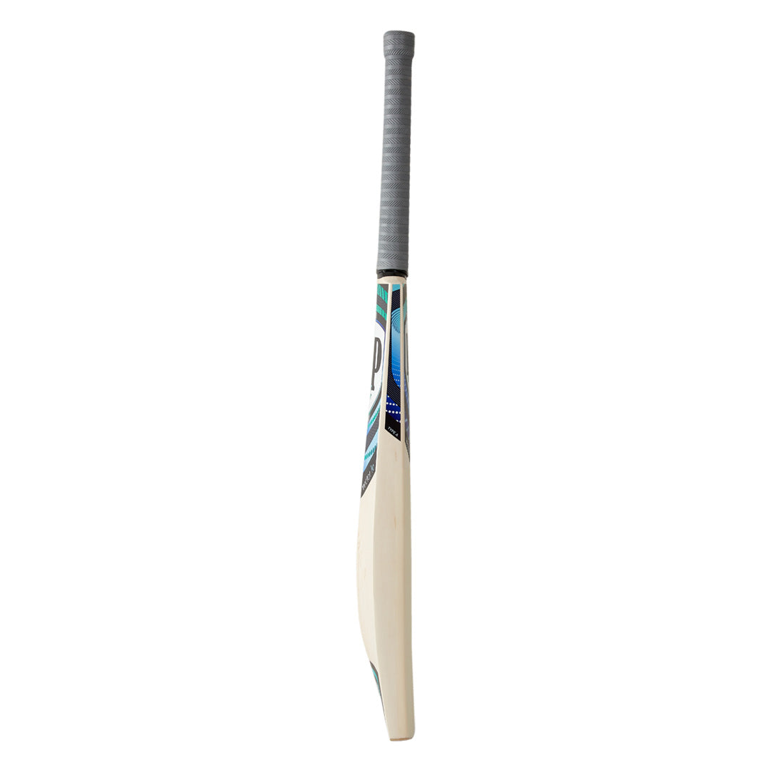 DP Vector LE Cricket Bat